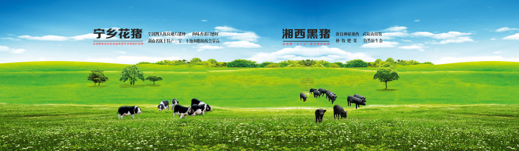 太阳集团见好就收9728(中国区)官方网站-SunCityGroup